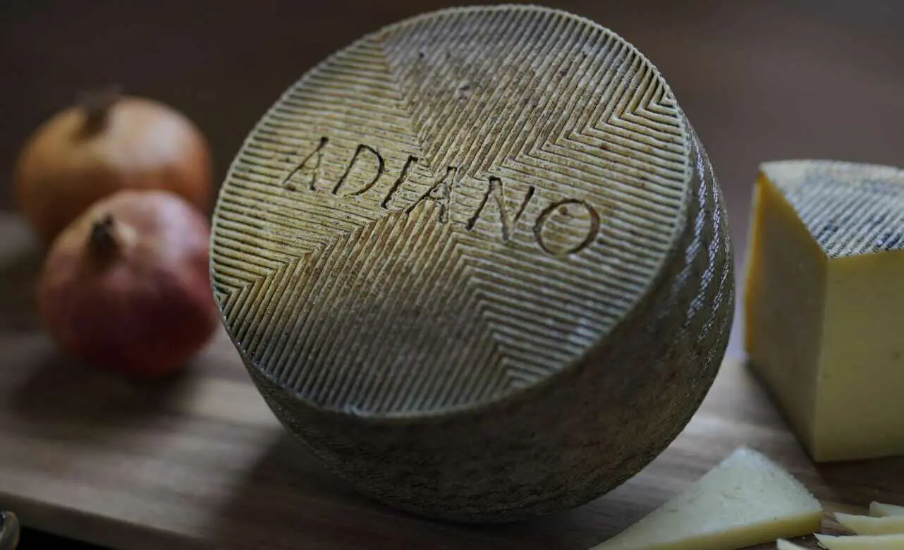 Economia Digital - Adiano, así es el mejor queso español en los World Cheese Awards 2022