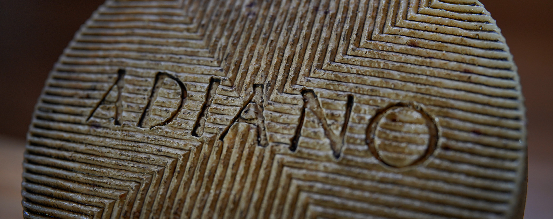 La finca El Campillo, praderas naturales siempre verdes