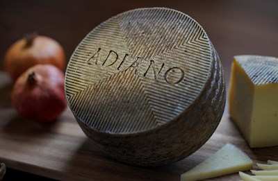 Diario ABC - Unos quesos de Castilla-La Mancha, los más laureados en los World Cheese Awards por tercer año consecutivo