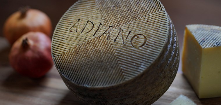 Diario ABC - Unos quesos de Castilla-La Mancha, los más laureados en los World Cheese Awards por tercer año consecutivo
