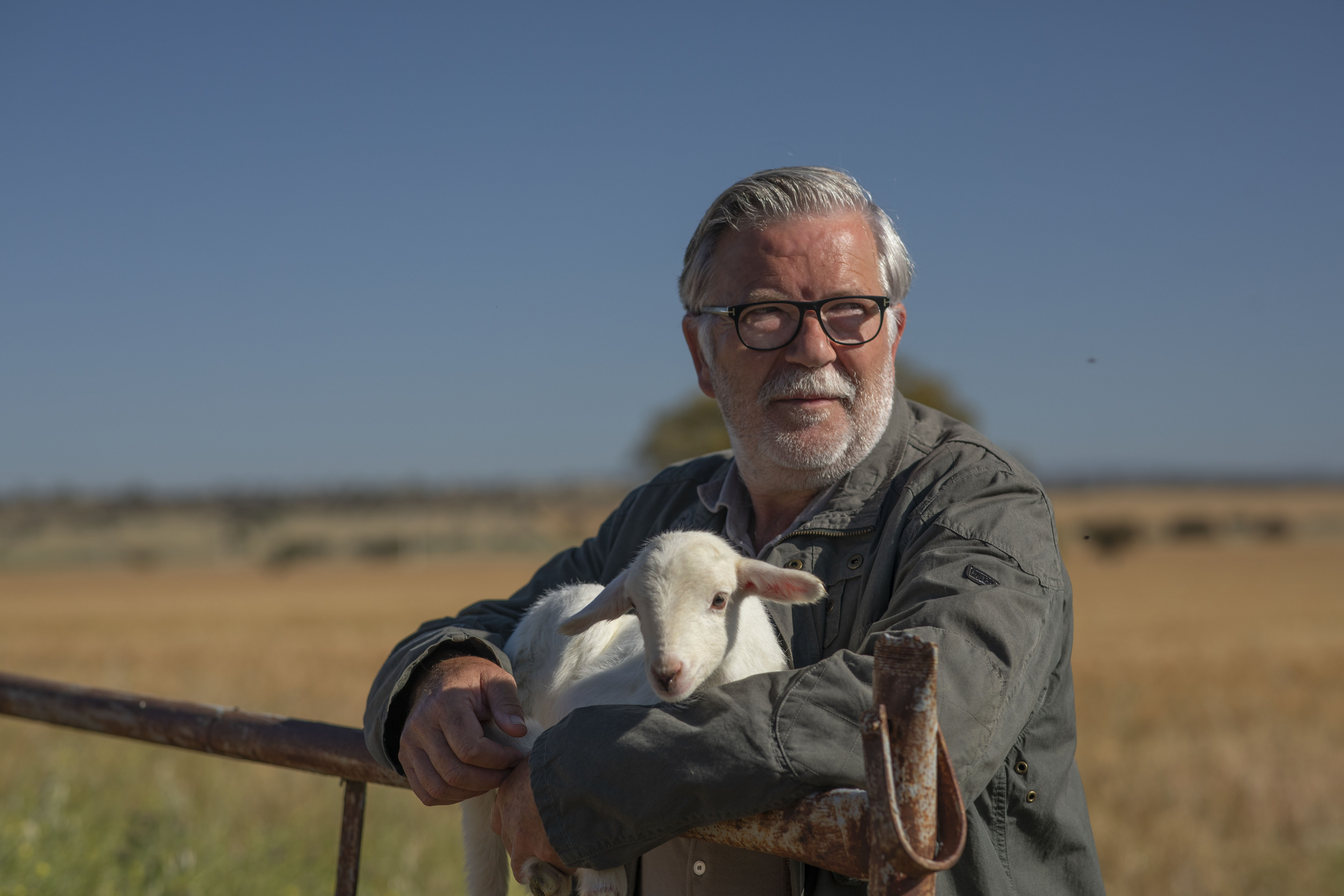 Cadena Ser - El mejor queso español se hace, siguiendo la tradición y con ovejas felices, en una quesería de Castilla-La Mancha